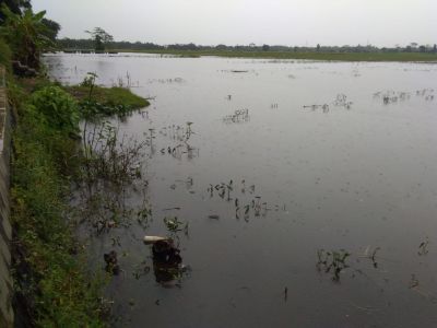 banjir