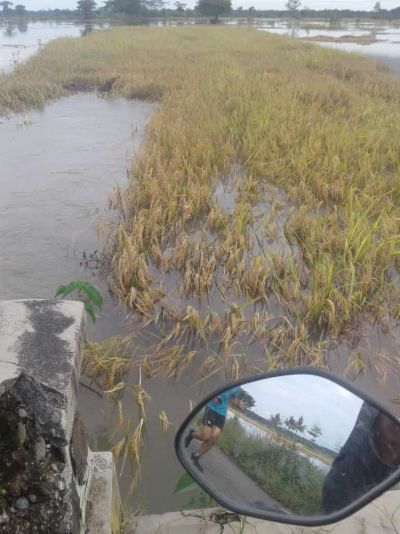 Pasca Banjir hari 3