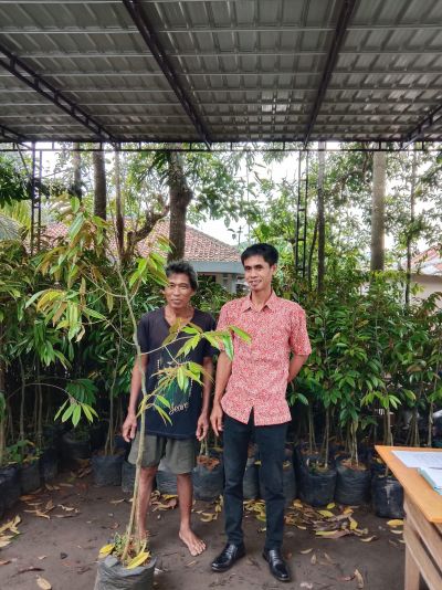 jatimalang