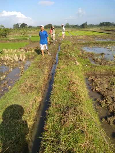 PKT 2022 Pembersihan Saluran Irigasi