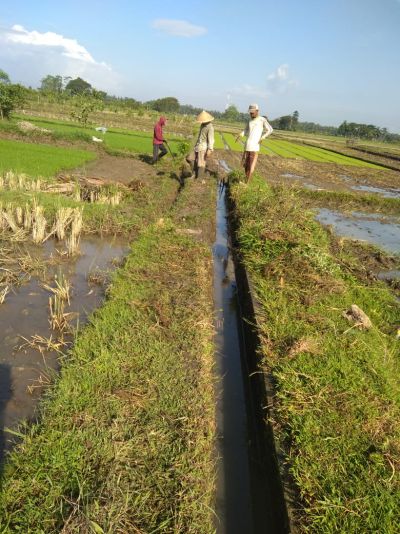 Blok siremang